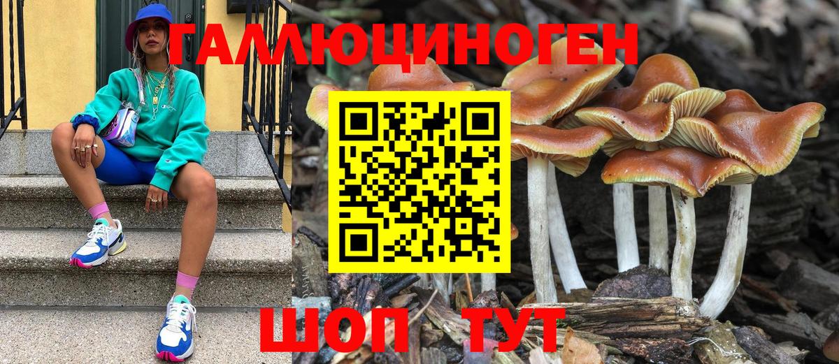 где купить наркоту  Псилоцибиновые грибы прущие грибы  Вход с VPN  Родники 